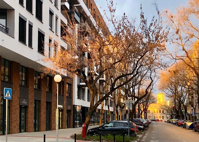 Daire Old Town Brewery - Stein *